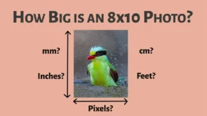 How Big are 8×10 Pictures?