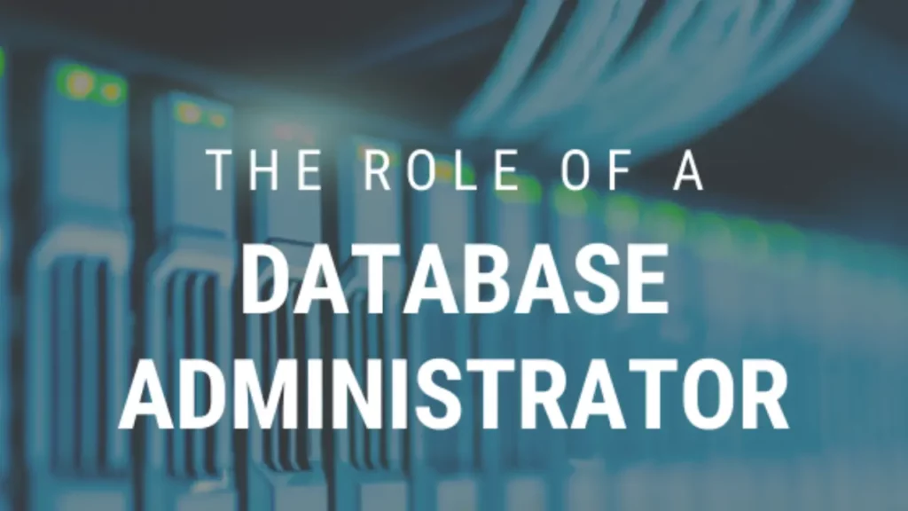 What do database administrators do